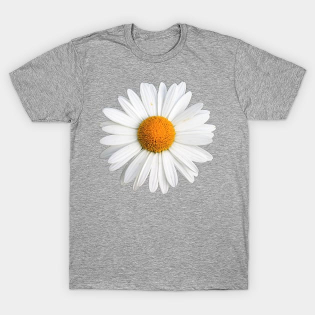 White Daisy T-Shirt by ghjura